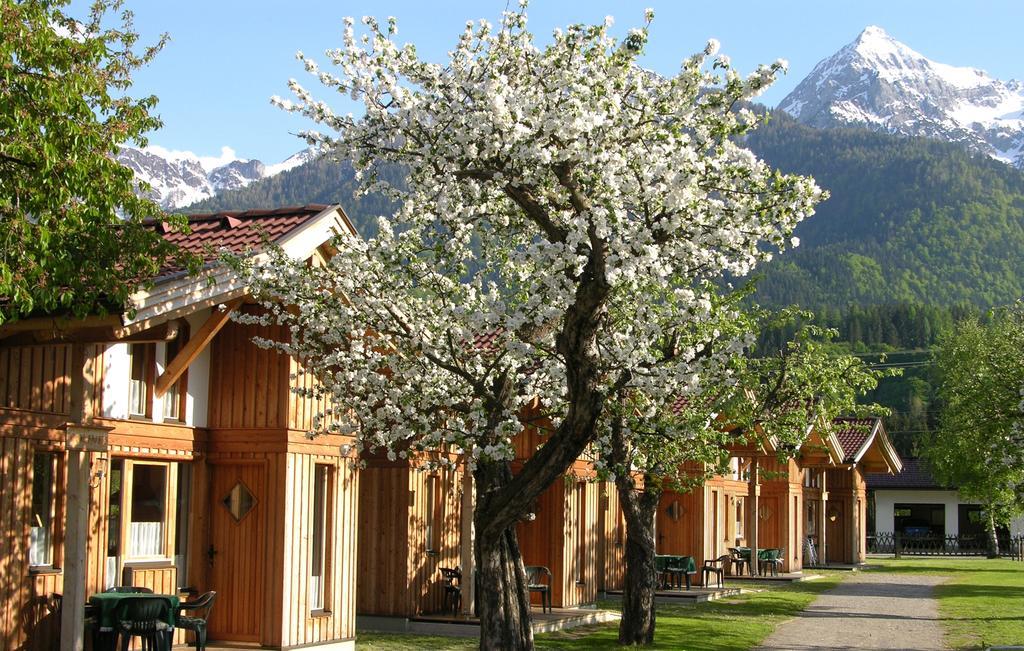 Alpencamp Kaernten Kotschach-Mauthen Oda fotoğraf